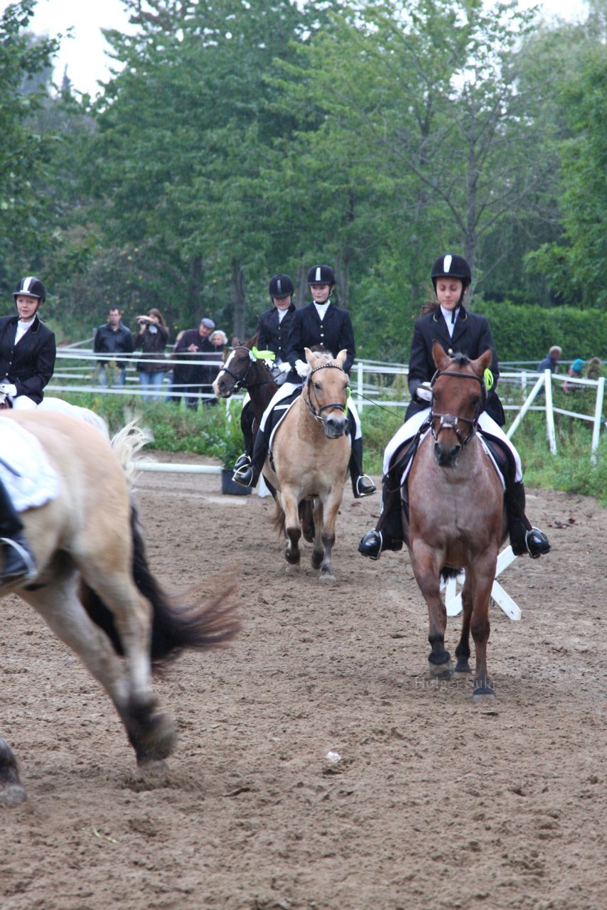 Bild 505 - WBO-Turnier am 18.9.11